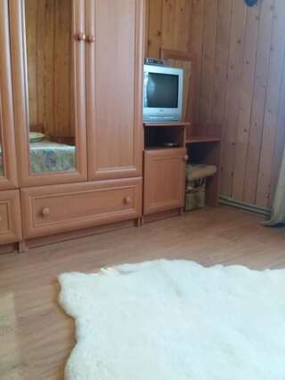 Отель Золота рибка Яремче Двухместный номер с 1 кроватью-1